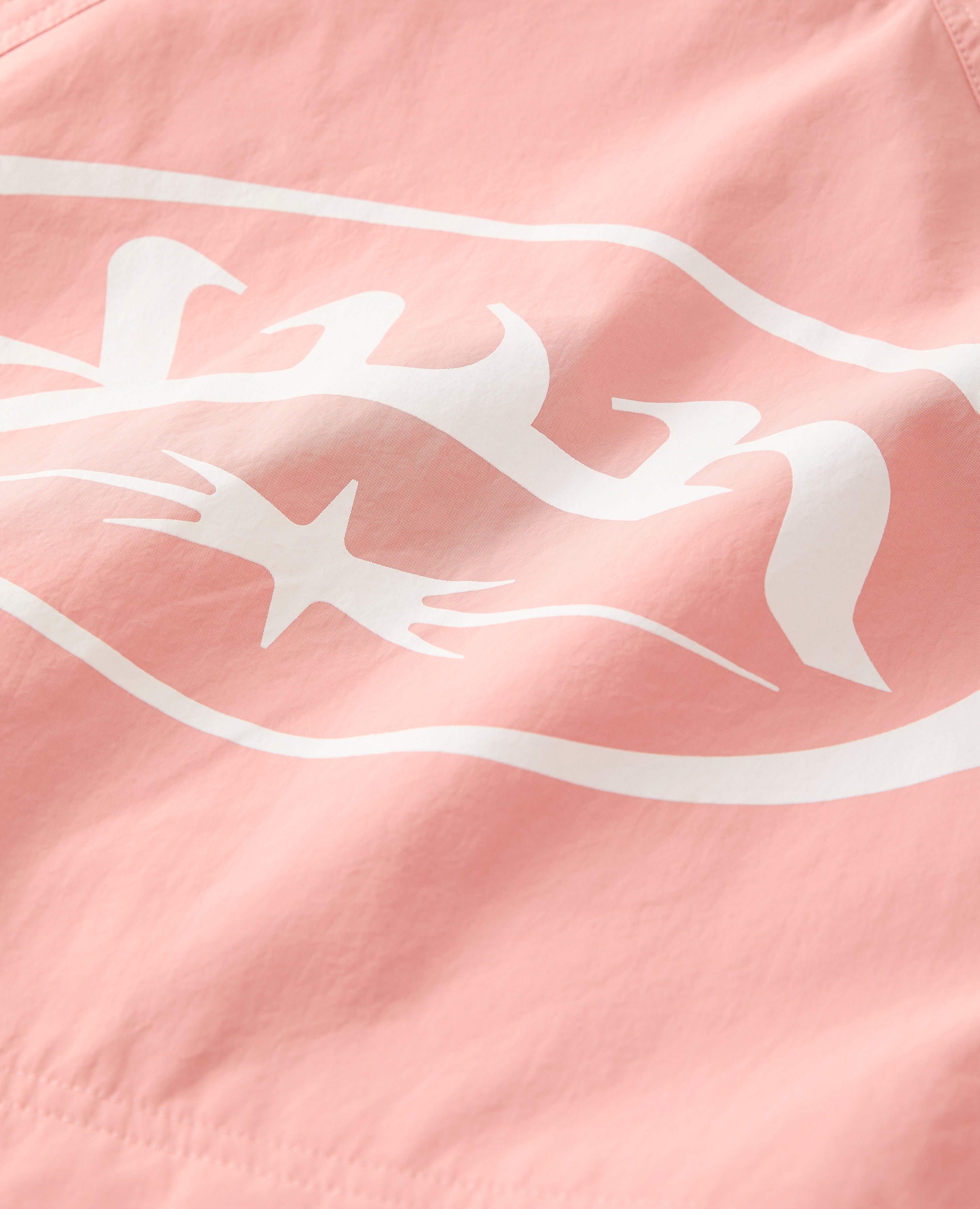 PINK STORMCHASER